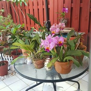 Meet your Posher, Bernadette